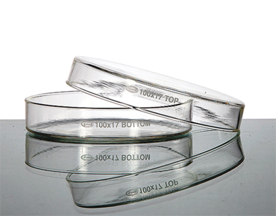 Boite de petri en verre borosilicaté
