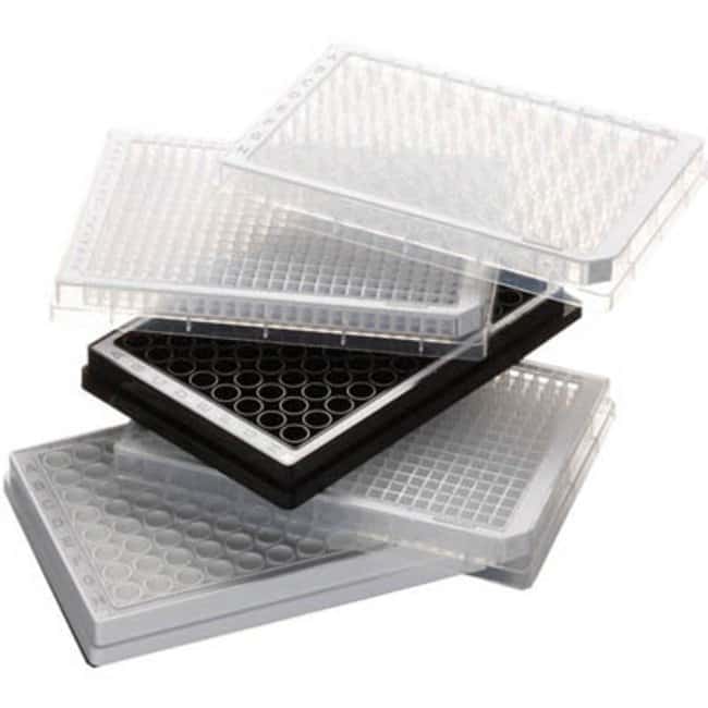 Eppendorf™ Microplaques PCR à fond en U en polypropylène stériles à 96 puits